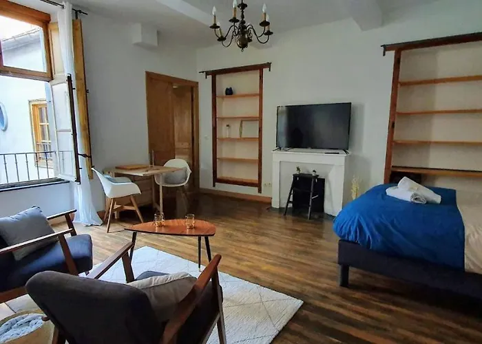 Studio Tres Spacieux Avec Cour, En Plein Coeur De Ville !