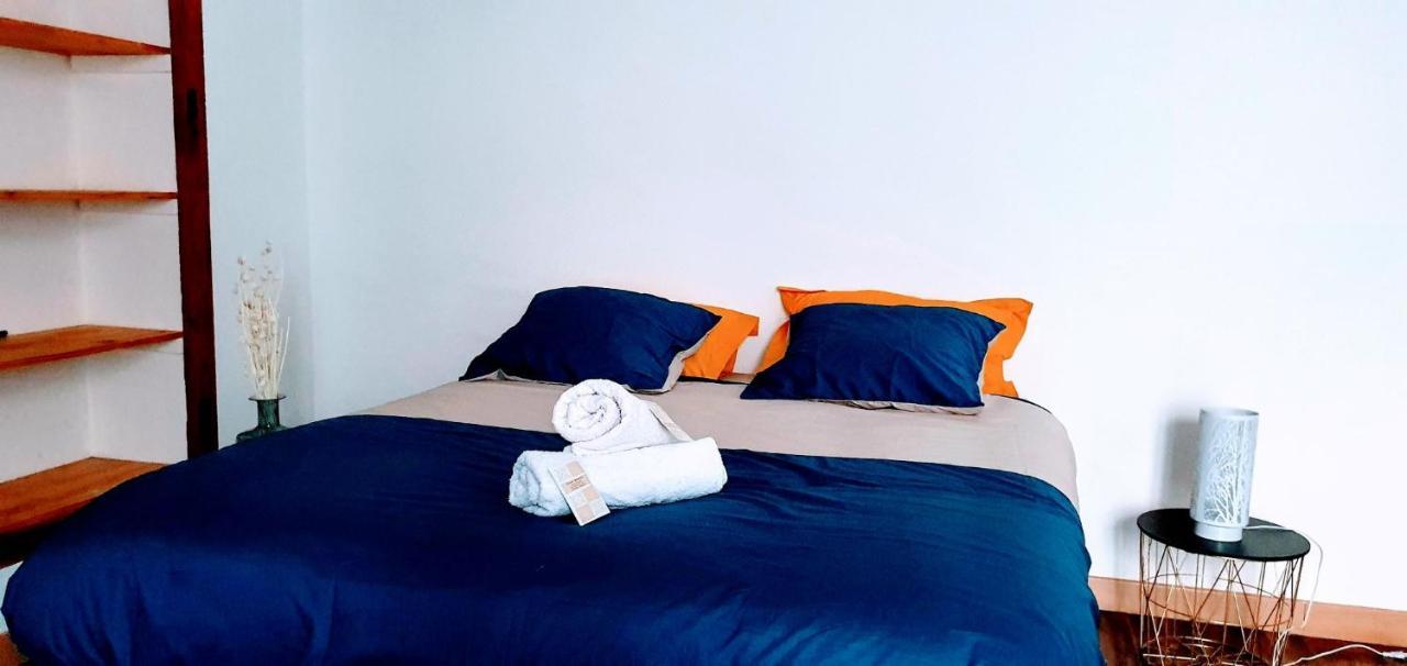 Studio Tres Spacieux Avec Cour, En Plein Coeur De ! Carcassonne