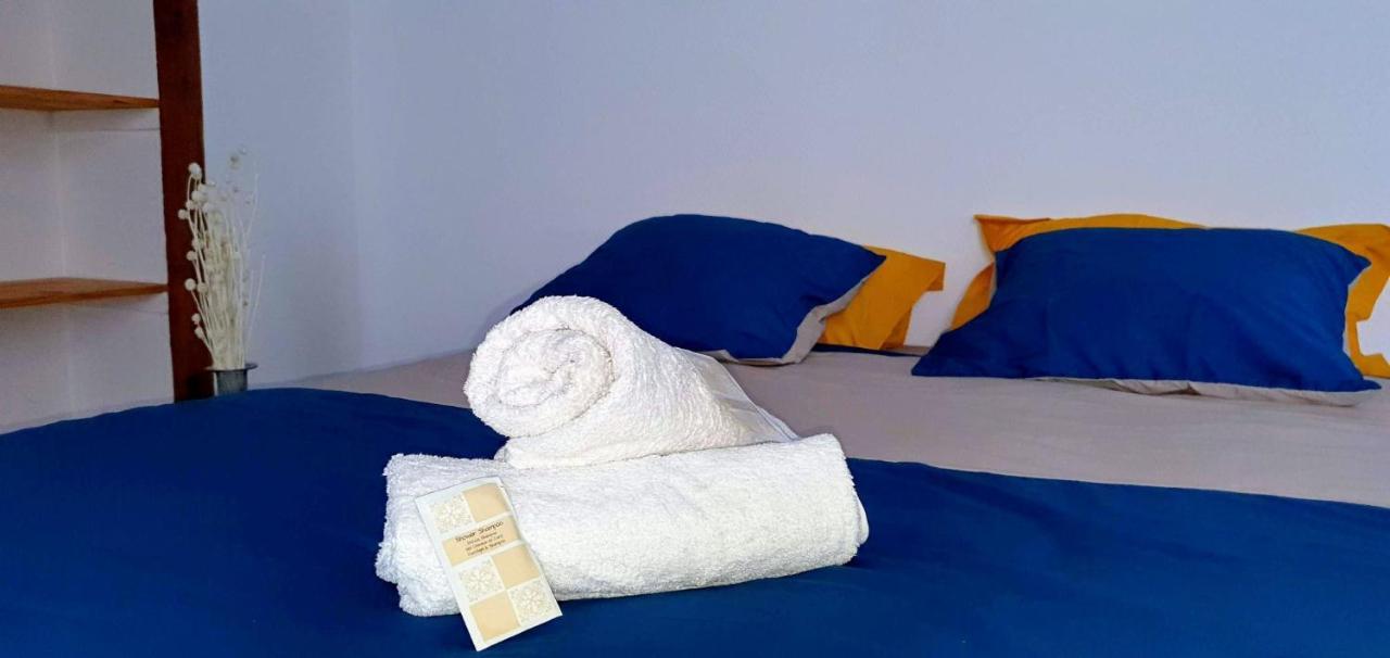 Studio Tres Spacieux Avec Cour, En Plein Coeur De ! * Carcassonne
